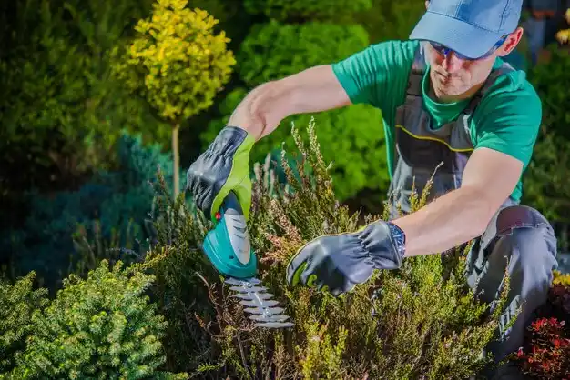 landscaping services Kerhonkson